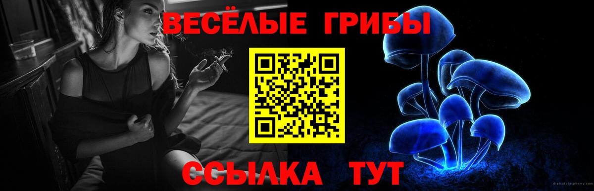 Махачкала  Галлюциногенные грибы прущие грибы  Вход с VPN 