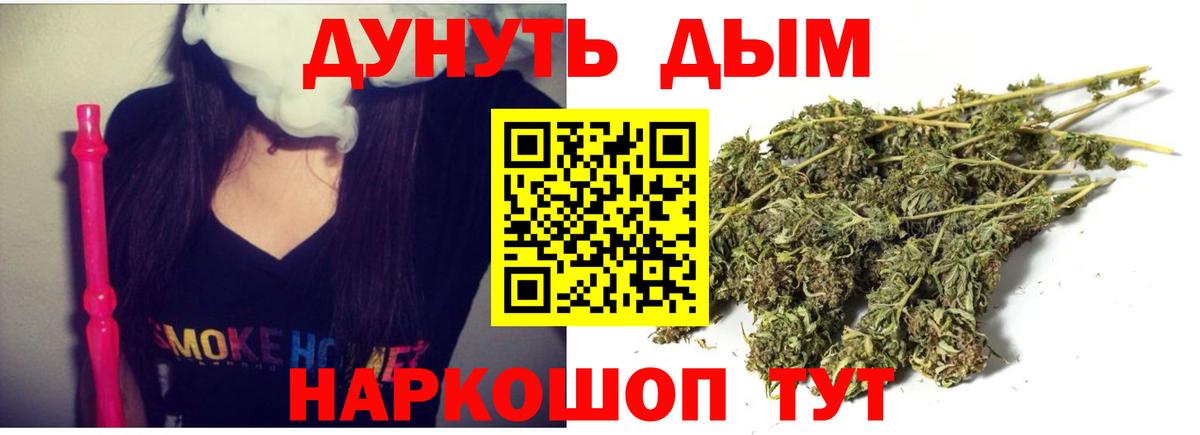 Махачкала  Марихуана планчик  Вход с VPN  Марихуана Amnesia  Марихуана Bruce Banner 