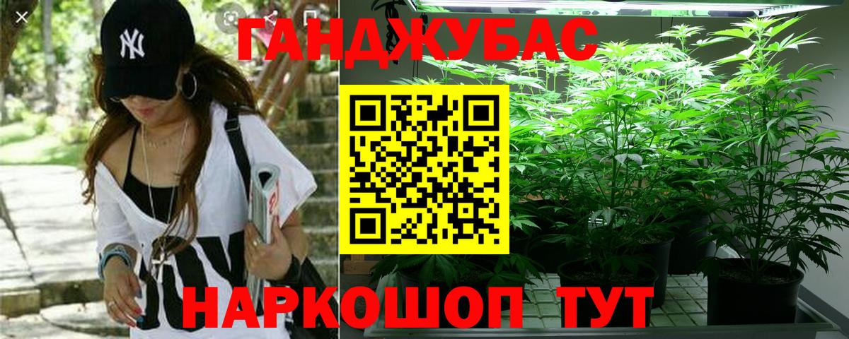 Бошки марихуана гибрид Махачкала